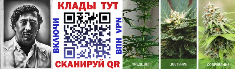 Хочу наркоту Снежногорск COCAIN  Мефедрон  СОЛЬ  Конопля  ГАШИШ 